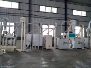 榴莲视频黄色加工成套设备