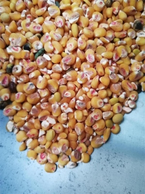 去榴莲视频黄色药种子包衣外皮去皮机